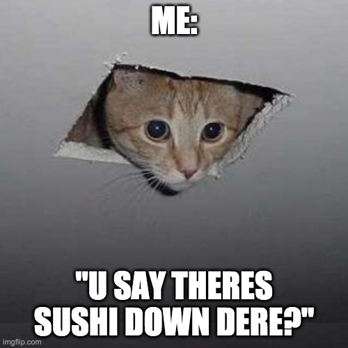 Gimme dat | ME:; "U SAY THERES SUSHI DOWN DERE?" | image tagged in memes,ceiling cat | made w/ Imgflip meme maker