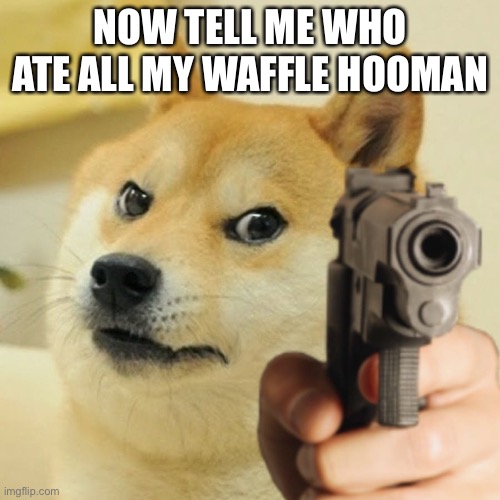 Doge holding a gun | NOW TELL ME WHO ATE ALL MY WAFFLE HOOMAN | image tagged in doge holding a gun | made w/ Imgflip meme maker