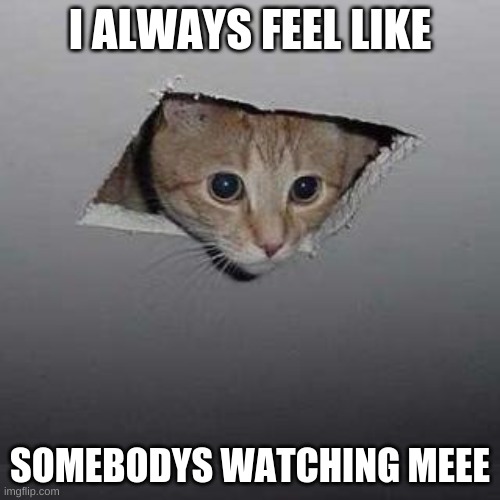 Ceiling Cat | I ALWAYS FEEL LIKE; SOMEBODYS WATCHING MEEE | image tagged in memes,ceiling cat | made w/ Imgflip meme maker