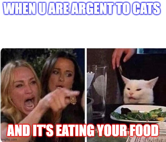 ??? | WHEN U ARE ARGENT TO CATS; AND IT'S EATING YOUR FOOD | image tagged in lady screams at cat | made w/ Imgflip meme maker