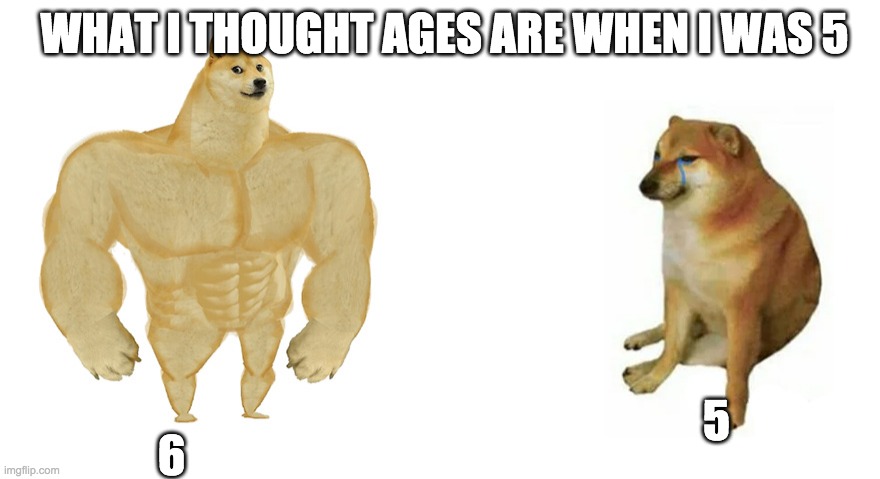 Buff Doge vs Crying Cheems | WHAT I THOUGHT AGES ARE WHEN I WAS 5; 6; 5 | image tagged in buff doge vs crying cheems | made w/ Imgflip meme maker