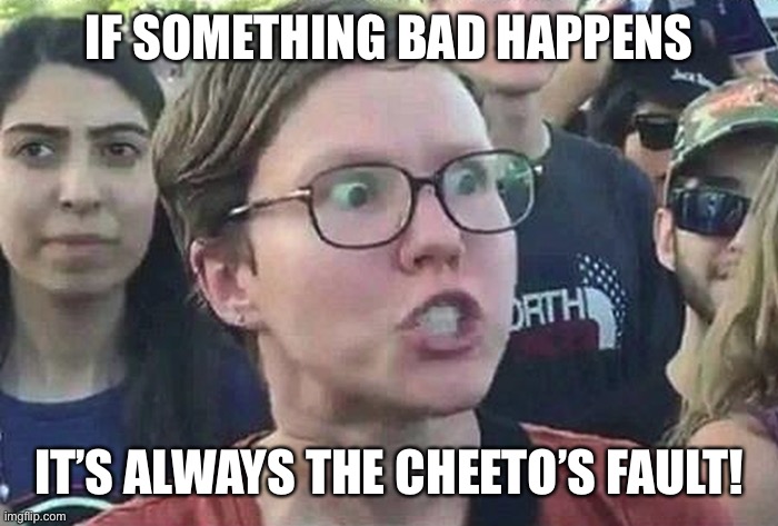 Triggered Liberal | IF SOMETHING BAD HAPPENS IT’S ALWAYS THE CHEETO’S FAULT! | image tagged in triggered liberal | made w/ Imgflip meme maker