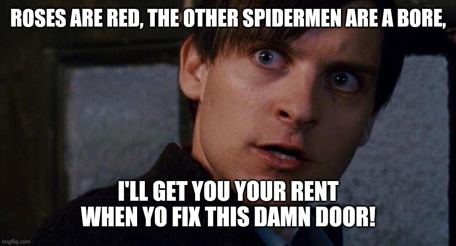 Best of all Possible Spidermen | ROSES ARE RED, THE OTHER SPIDERMEN ARE A BORE, I'LL GET YOU YOUR RENT WHEN YO FIX THIS DAMN DOOR! | image tagged in damn door | made w/ Imgflip meme maker