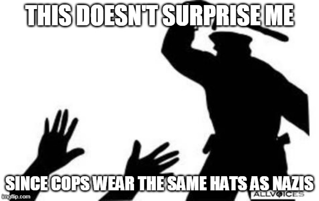No Surprise 2 | THIS DOESN'T SURPRISE ME; SINCE COPS WEAR THE SAME HATS AS NAZIS | image tagged in police-brutality,police brutality,police corruption,nazi germany,nazis,uniforms | made w/ Imgflip meme maker