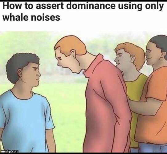 *whale noise* | image tagged in wikihow | made w/ Imgflip meme maker