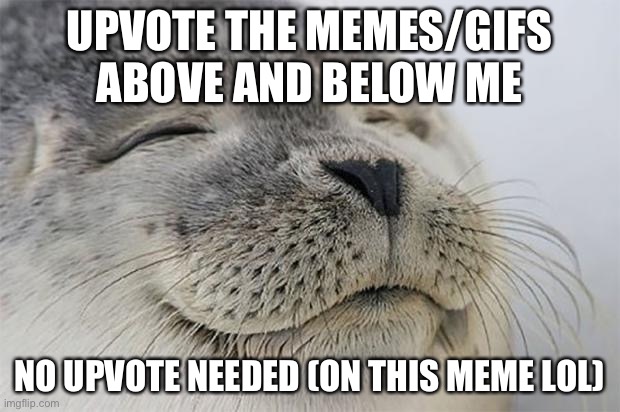 Satisfied Seal | UPVOTE THE MEMES/GIFS ABOVE AND BELOW ME; NO UPVOTE NEEDED (ON THIS MEME LOL) | image tagged in memes,satisfied seal | made w/ Imgflip meme maker