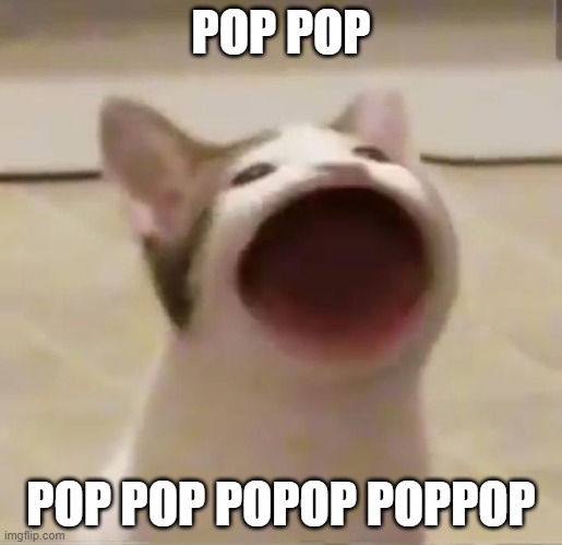 Pop Cat | POP POP; POP POP POPOP POPPOP | image tagged in pop cat | made w/ Imgflip meme maker