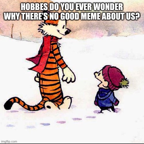 Why | HOBBES DO YOU EVER WONDER WHY THERE’S NO GOOD MEME ABOUT US? | image tagged in calvin and hobbs | made w/ Imgflip meme maker