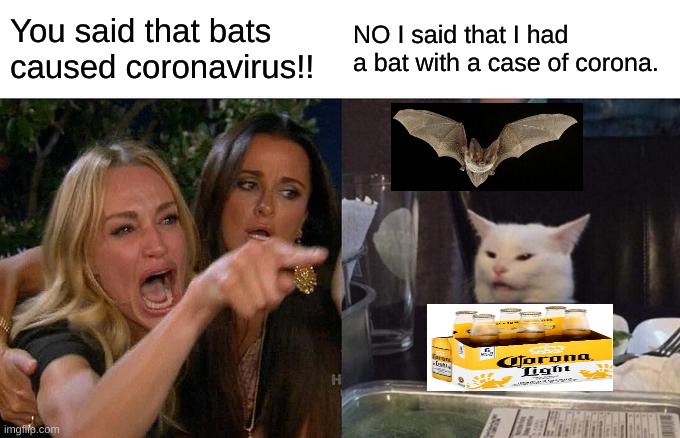 Woman Yelling At Cat Meme | You said that bats caused coronavirus!! NO I said that I had a bat with a case of corona. | image tagged in memes,woman yelling at cat | made w/ Imgflip meme maker