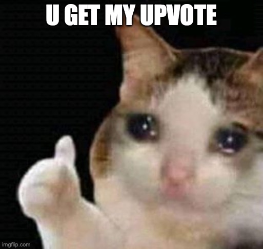 sad thumbs up cat | U GET MY UPVOTE | image tagged in sad thumbs up cat | made w/ Imgflip meme maker