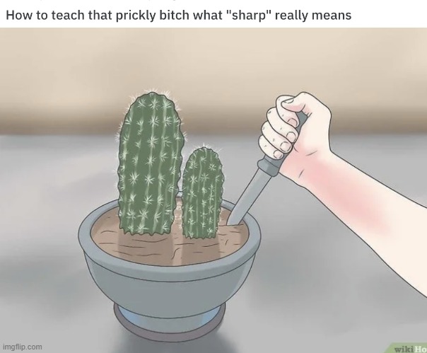 lol | image tagged in wikihow | made w/ Imgflip meme maker