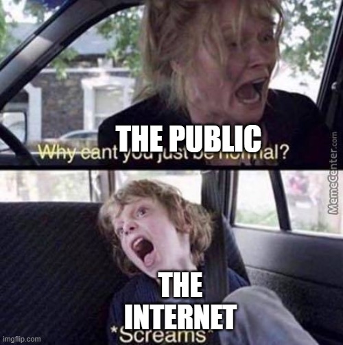 Why Can't You Just Be Normal | THE PUBLIC THE INTERNET | image tagged in why can't you just be normal | made w/ Imgflip meme maker