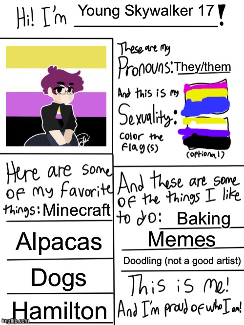 Chello! | Young Skywalker 17; They/them; Minecraft; Baking; Alpacas; Memes; Doodling (not a good artist); Dogs; Hamilton | image tagged in lgbtq stream account profile | made w/ Imgflip meme maker