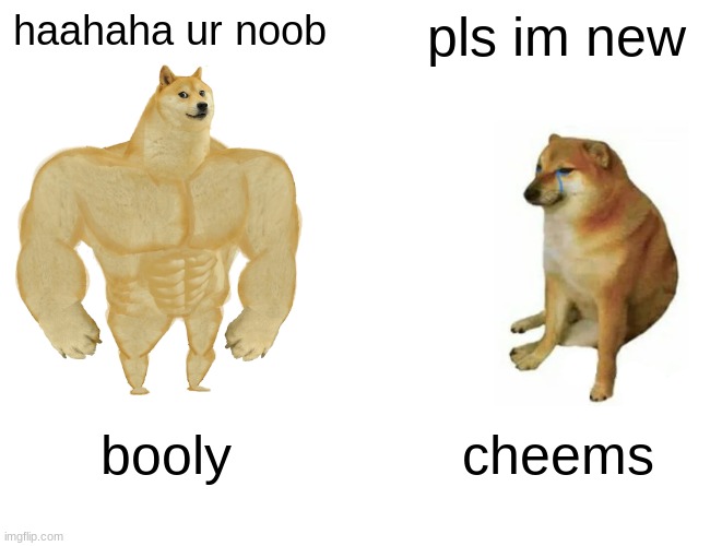 Buff Doge vs. Cheems | haahaha ur noob; pls im new; booly; cheems | image tagged in memes,buff doge vs cheems | made w/ Imgflip meme maker