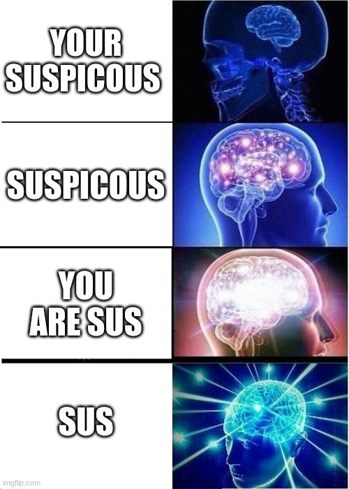 Expanding Brain | YOUR SUSPICOUS; SUSPICOUS; YOU ARE SUS; SUS | image tagged in memes,expanding brain | made w/ Imgflip meme maker