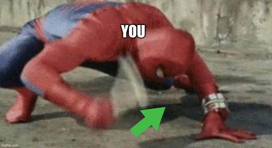 Spider man hammer | YOU | image tagged in spider man hammer | made w/ Imgflip meme maker