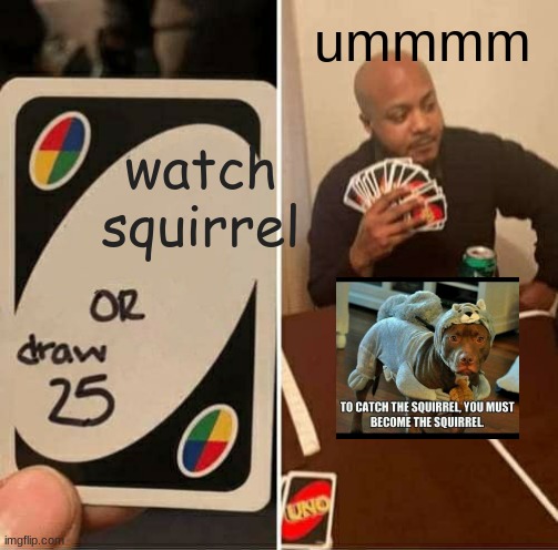squerrel | ummmm; watch squirrel | image tagged in memes,uno draw 25 cards | made w/ Imgflip meme maker
