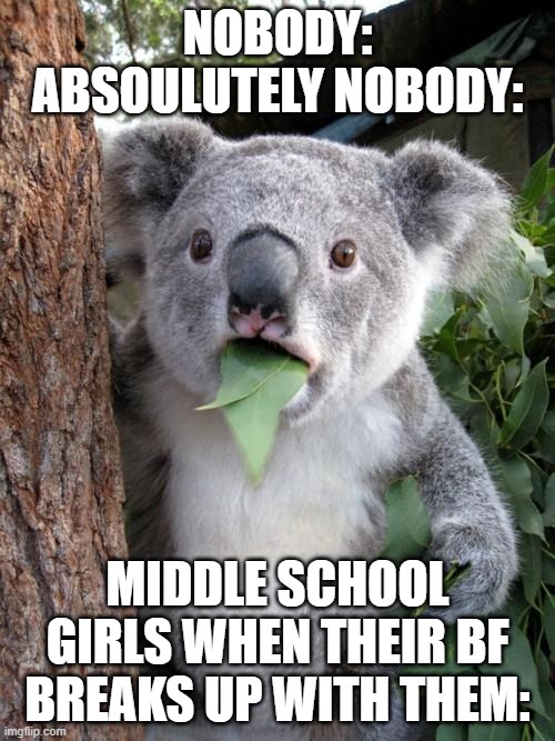Surprised Koala | NOBODY: ABSOULUTELY NOBODY:; MIDDLE SCHOOL GIRLS WHEN THEIR BF BREAKS UP WITH THEM: | image tagged in memes,surprised koala | made w/ Imgflip meme maker