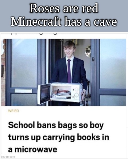 [insert amusing title here] | Roses are red
Minecraft has a cave | image tagged in roses are red | made w/ Imgflip meme maker