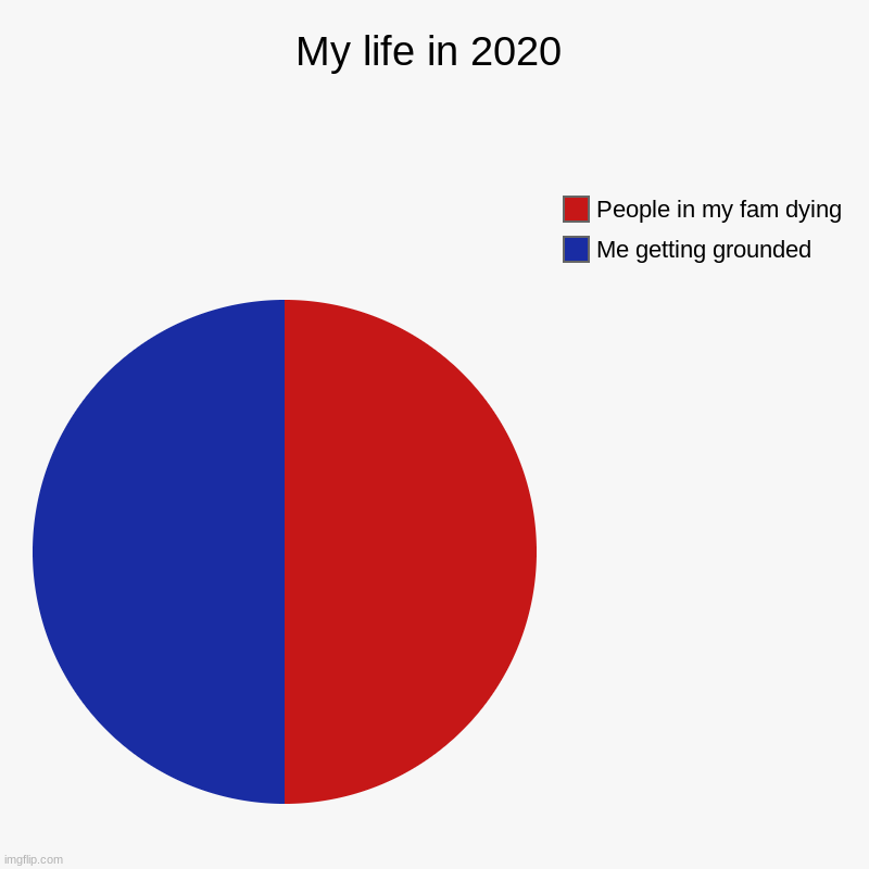 My life in 2020 | Me getting grounded, People in my fam dying | image tagged in charts,pie charts | made w/ Imgflip chart maker