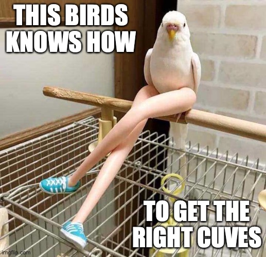 Parrot With Legs | THIS BIRDS KNOWS HOW; TO GET THE RIGHT CUVES | image tagged in parrot,legs,memes | made w/ Imgflip meme maker