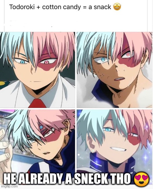 Todoroki is a Sneck | HE ALREADY A SNECK THO 😍 | image tagged in my hero academia,todoroki,simp | made w/ Imgflip meme maker