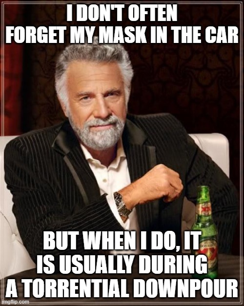 The Most Interesting Man In The World Meme | I DON'T OFTEN FORGET MY MASK IN THE CAR; BUT WHEN I DO, IT IS USUALLY DURING A TORRENTIAL DOWNPOUR | image tagged in memes,the most interesting man in the world,covid-19,mask | made w/ Imgflip meme maker