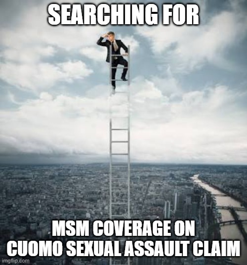 Searching for | SEARCHING FOR; MSM COVERAGE ON CUOMO SEXUAL ASSAULT CLAIM | image tagged in searching for | made w/ Imgflip meme maker
