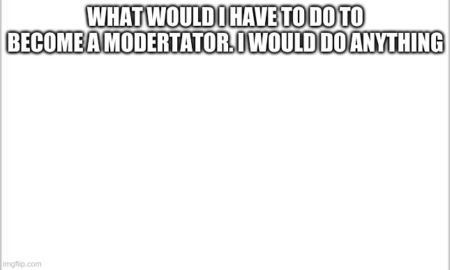 white background | WHAT WOULD I HAVE TO DO TO BECOME A MODERTATOR. I WOULD DO ANYTHING | image tagged in white background | made w/ Imgflip meme maker