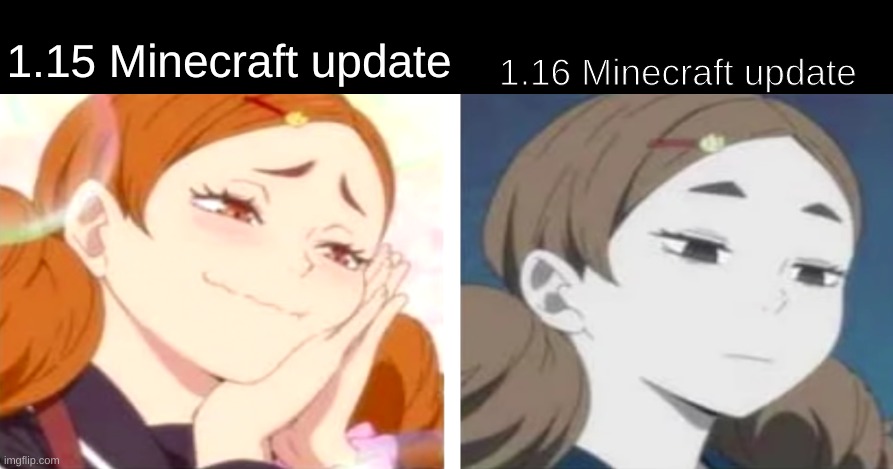 Accurate, am I right? *Insert laughtrack* | 1.16 Minecraft update; 1.15 Minecraft update | image tagged in memes,accurate | made w/ Imgflip meme maker