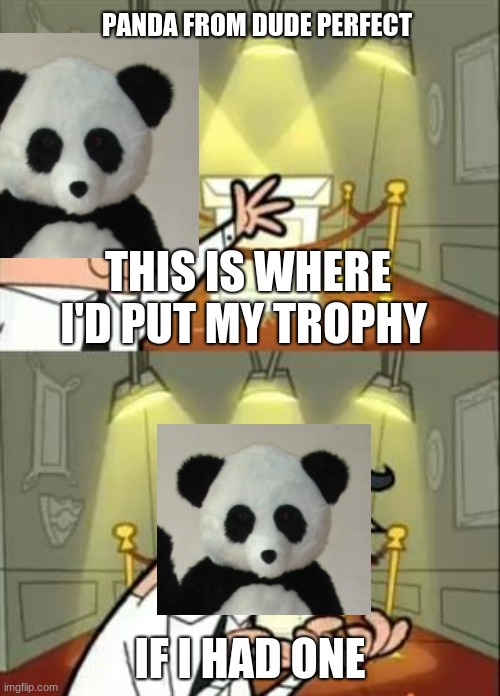 Panda from DP | PANDA FROM DUDE PERFECT; THIS IS WHERE I'D PUT MY TROPHY; IF I HAD ONE | image tagged in memes,this is where i'd put my trophy if i had one,dude perfect,panda | made w/ Imgflip meme maker