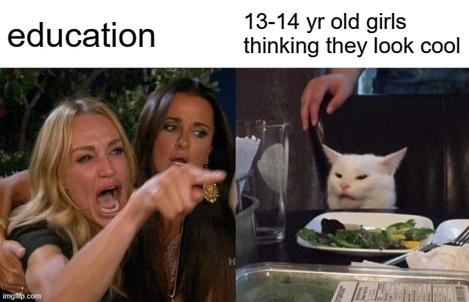 Woman Yelling At Cat | education; 13-14 yr old girls thinking they look cool | image tagged in memes,woman yelling at cat | made w/ Imgflip meme maker