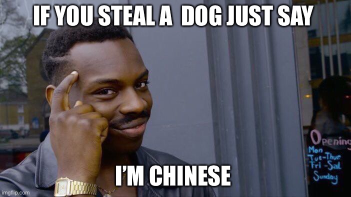 Roll Safe Think About It Meme | IF YOU STEAL A  DOG JUST SAY; I’M CHINESE | image tagged in memes,roll safe think about it | made w/ Imgflip meme maker