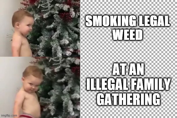2020 & Covid be like... | SMOKING LEGAL
WEED; AT AN ILLEGAL FAMILY GATHERING | image tagged in free | made w/ Imgflip meme maker