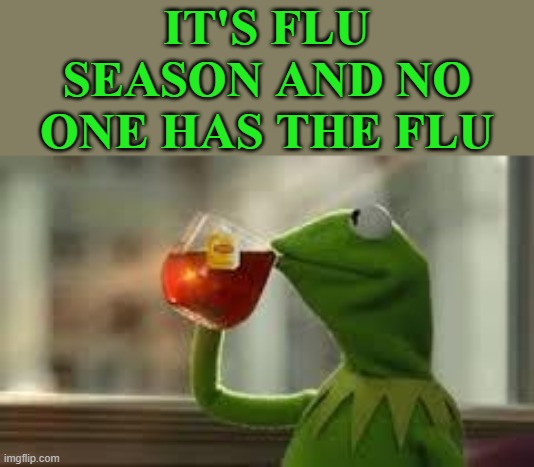 But apparently everyone has Covid. | IT'S FLU SEASON AND NO ONE HAS THE FLU | image tagged in kirmit the frog,covid-19 | made w/ Imgflip meme maker