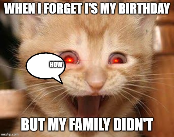 every day life | WHEN I FORGET I'S MY BIRTHDAY; HOW; BUT MY FAMILY DIDN'T | image tagged in memes,excited cat | made w/ Imgflip meme maker