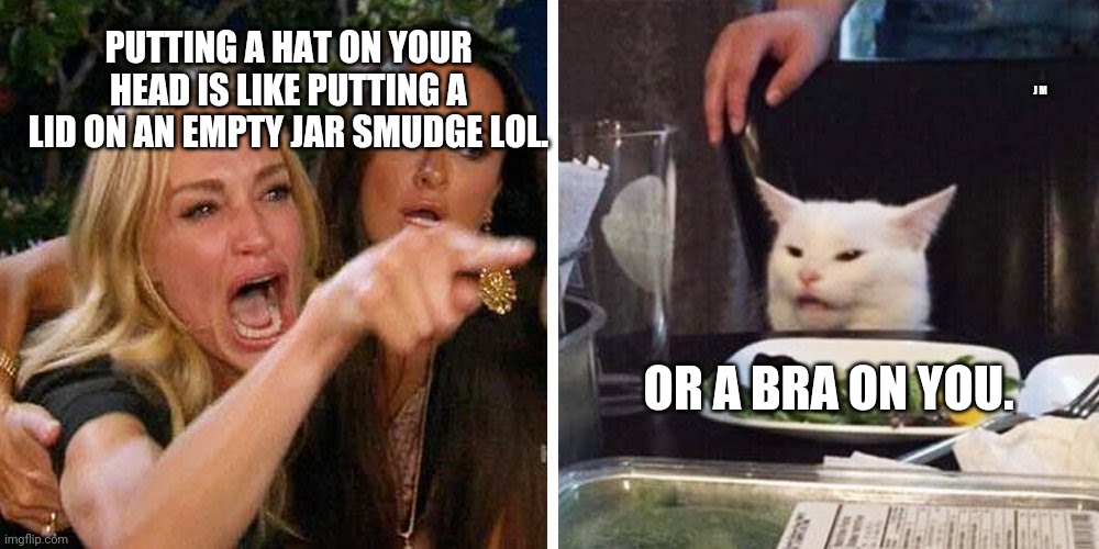 Smudge the cat | PUTTING A HAT ON YOUR HEAD IS LIKE PUTTING A LID ON AN EMPTY JAR SMUDGE LOL. J M; OR A BRA ON YOU. | image tagged in smudge the cat | made w/ Imgflip meme maker