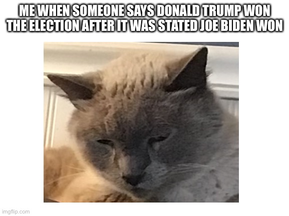 THIS IS SO ONNOYING | ME WHEN SOMEONE SAYS DONALD TRUMP WON THE ELECTION AFTER IT WAS STATED JOE BIDEN WON | image tagged in so true memes | made w/ Imgflip meme maker