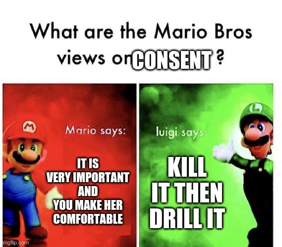 Mario Bros Views | CONSENT; IT IS VERY IMPORTANT AND YOU MAKE HER COMFORTABLE; KILL IT THEN DRILL IT | image tagged in mario bros views | made w/ Imgflip meme maker