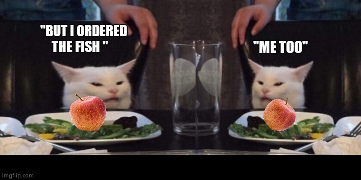 Two cats | "ME TOO"; "BUT I ORDERED THE FISH " | image tagged in woman yelling at cat,cats,apple,fish,fun | made w/ Imgflip meme maker