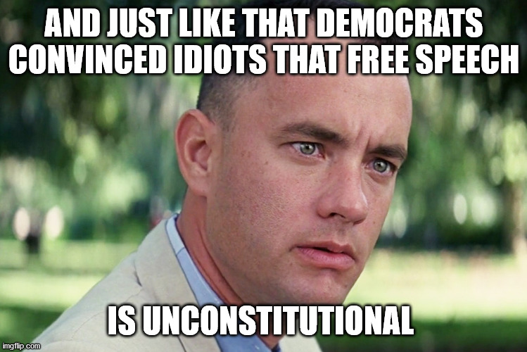 And Just Like That | AND JUST LIKE THAT DEMOCRATS CONVINCED IDIOTS THAT FREE SPEECH; IS UNCONSTITUTIONAL | image tagged in memes,and just like that | made w/ Imgflip meme maker