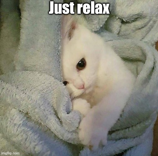 Popcorn (LaceyRobbins1's cat) | Just relax | image tagged in sad blanket kitty | made w/ Imgflip meme maker