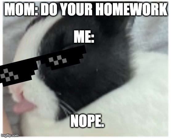 Derp | MOM: DO YOUR HOMEWORK; ME:; NOPE. | image tagged in derp | made w/ Imgflip meme maker