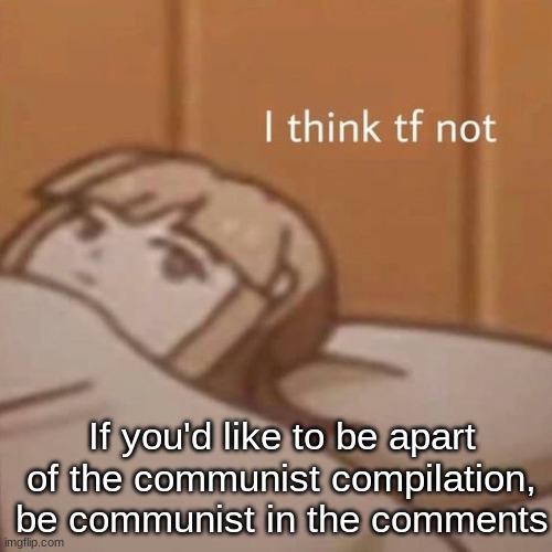 I think tf not | If you'd like to be apart of the communist compilation, be communist in the comments | image tagged in i think tf not | made w/ Imgflip meme maker
