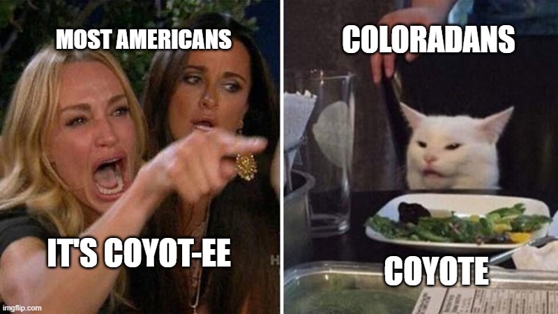Coloradans be like | MOST AMERICANS; COLORADANS; COYOTE; IT'S COYOT-EE | image tagged in woman argues with cat,colorado | made w/ Imgflip meme maker