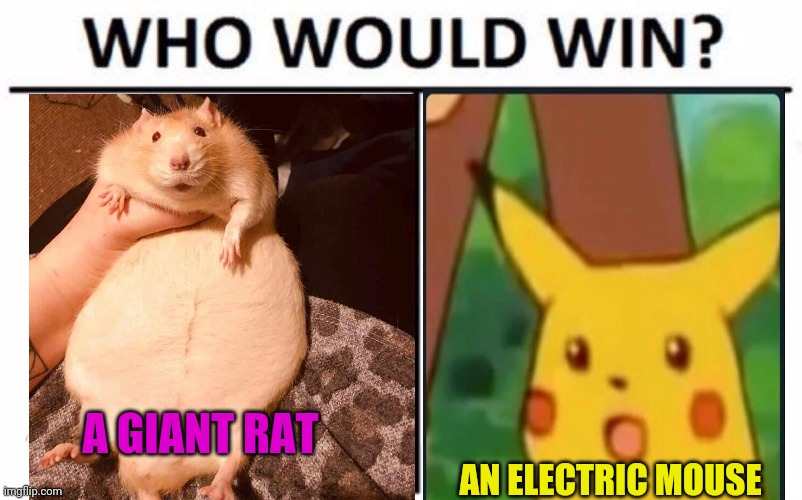 Rat vs mouse! | A GIANT RAT; AN ELECTRIC MOUSE | image tagged in memes,who would win,pikachu,mouse,fat,rats | made w/ Imgflip meme maker