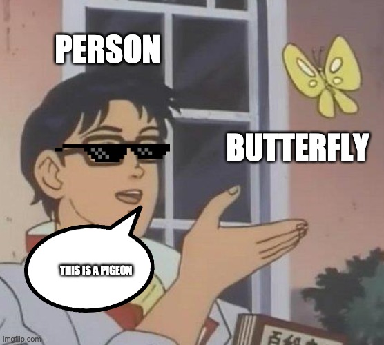 This might be a pigeon... | PERSON; BUTTERFLY; THIS IS A PIGEON | image tagged in memes,is this a pigeon | made w/ Imgflip meme maker