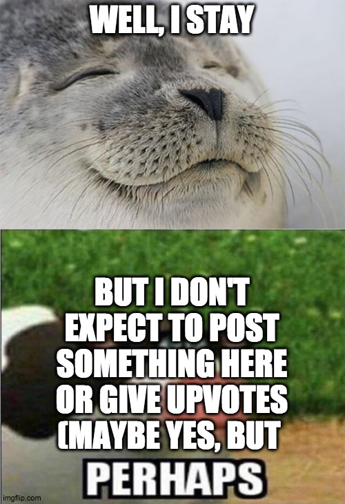 perhaps i upvote or post | WELL, I STAY; BUT I DON'T EXPECT TO POST SOMETHING HERE OR GIVE UPVOTES (MAYBE YES, BUT | image tagged in memes,satisfied seal,perhaps cow | made w/ Imgflip meme maker