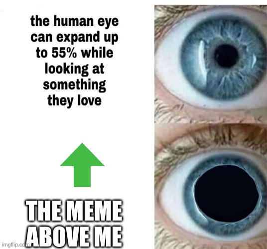 look | THE MEME ABOVE ME | image tagged in human eye,funny memes | made w/ Imgflip meme maker