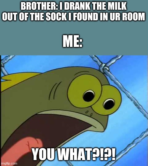 You what?! | BROTHER: I DRANK THE MILK OUT OF THE SOCK I FOUND IN UR ROOM YOU WHAT?!?! ME: | image tagged in you what | made w/ Imgflip meme maker